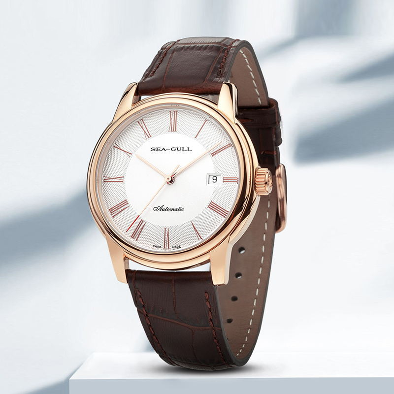 Seagull Men's Mechanical Watch - огляд і ціна Omega Watch Constellation