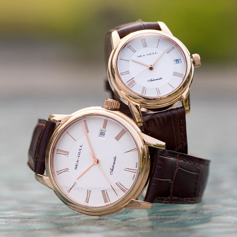 Seagull Men's Mechanical Watch - огляд і ціна Omega Watch Constellation