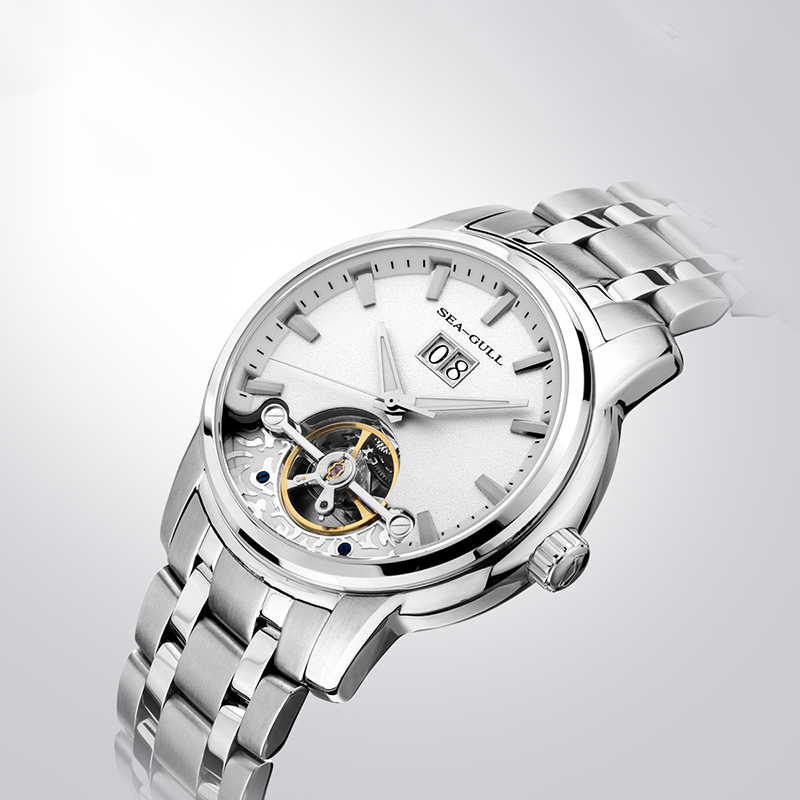 Seagull Flywheel Series Men's  - огляд і ціна Omega Watch Constellation